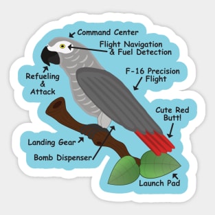 Anatomy of an African Grey Parrot Sticker